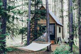 Cabin and Hammock in the woods