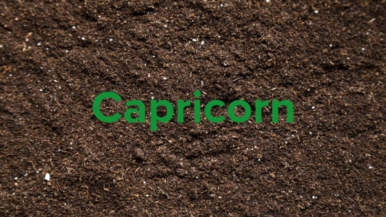 Capricorn