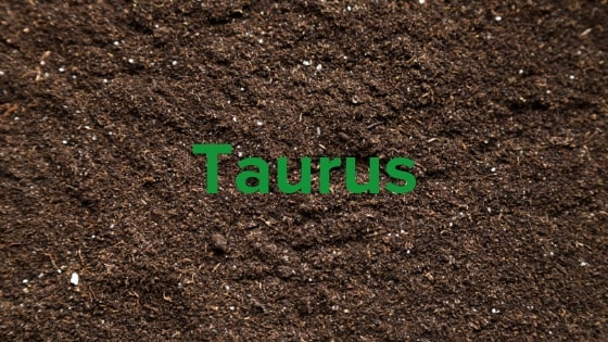 Taurus