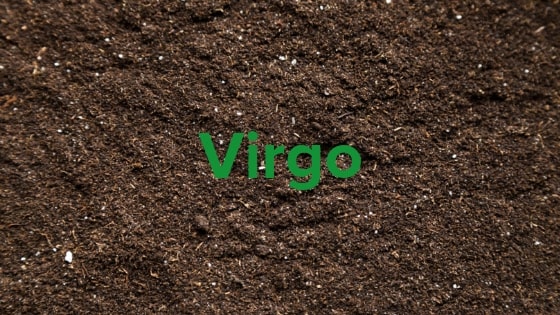Virgo